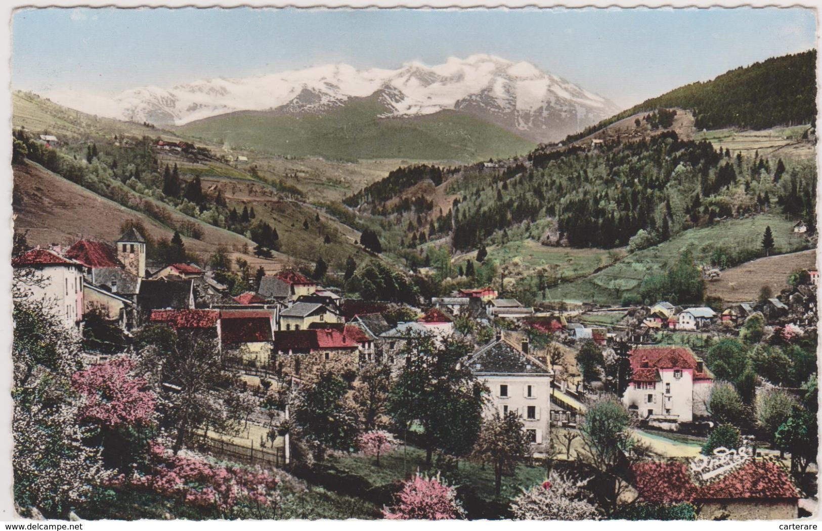 LAVAL En 1950,isère,vue Magnifique Du Village ,du Relief,amour De La Nature,de L'écologie,carte Photo André,rare - Laval