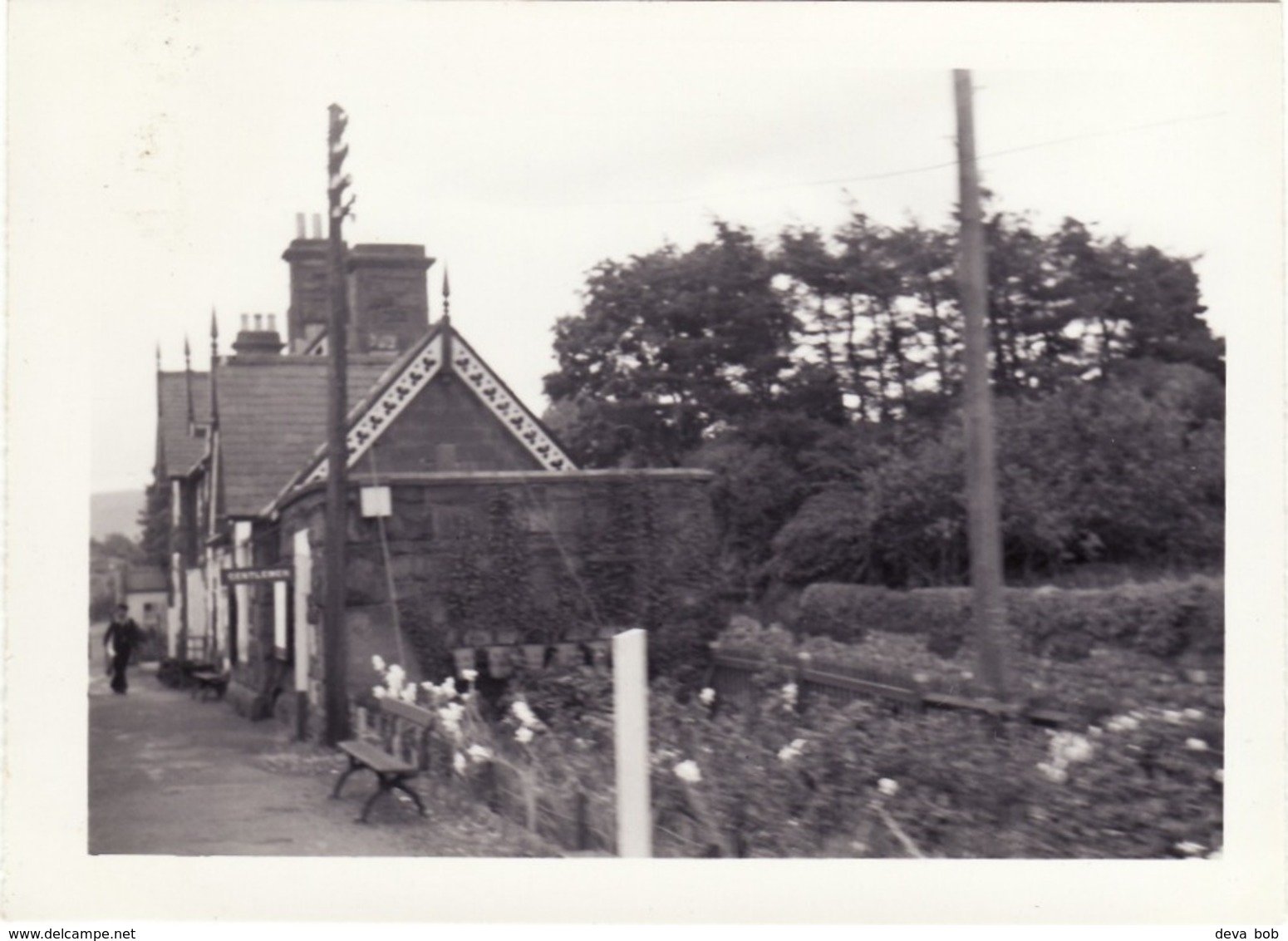 Railway Station Photo Cemmes Road 1961 Cambrian Welshpool Machynlleth Closed 1965 - Eisenbahnen