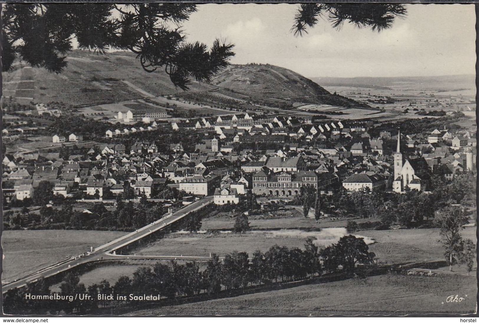 D-97762 Hammelburg - Blick Ins Saaletal - Unterfranken (50er Jahre) - Hammelburg