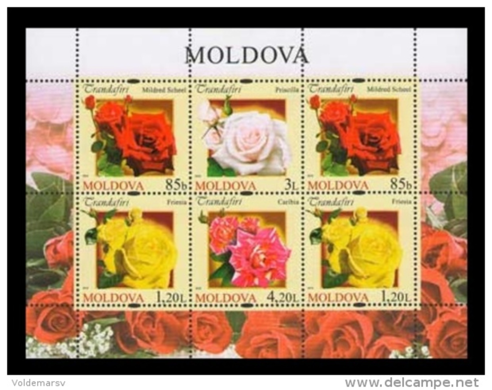 Moldova 2012 Mih. 805/08 Flora. Flowers. Roses (M/S) MNH ** - Moldova