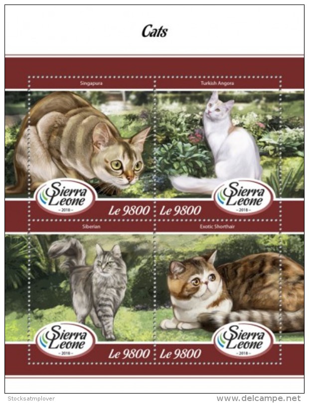 Sierra Leone  2018 Cats S201802 - Sierra Leone (1961-...)