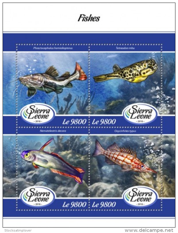 Sierra Leone  2018 Fishes S201802 - Sierra Leone (1961-...)