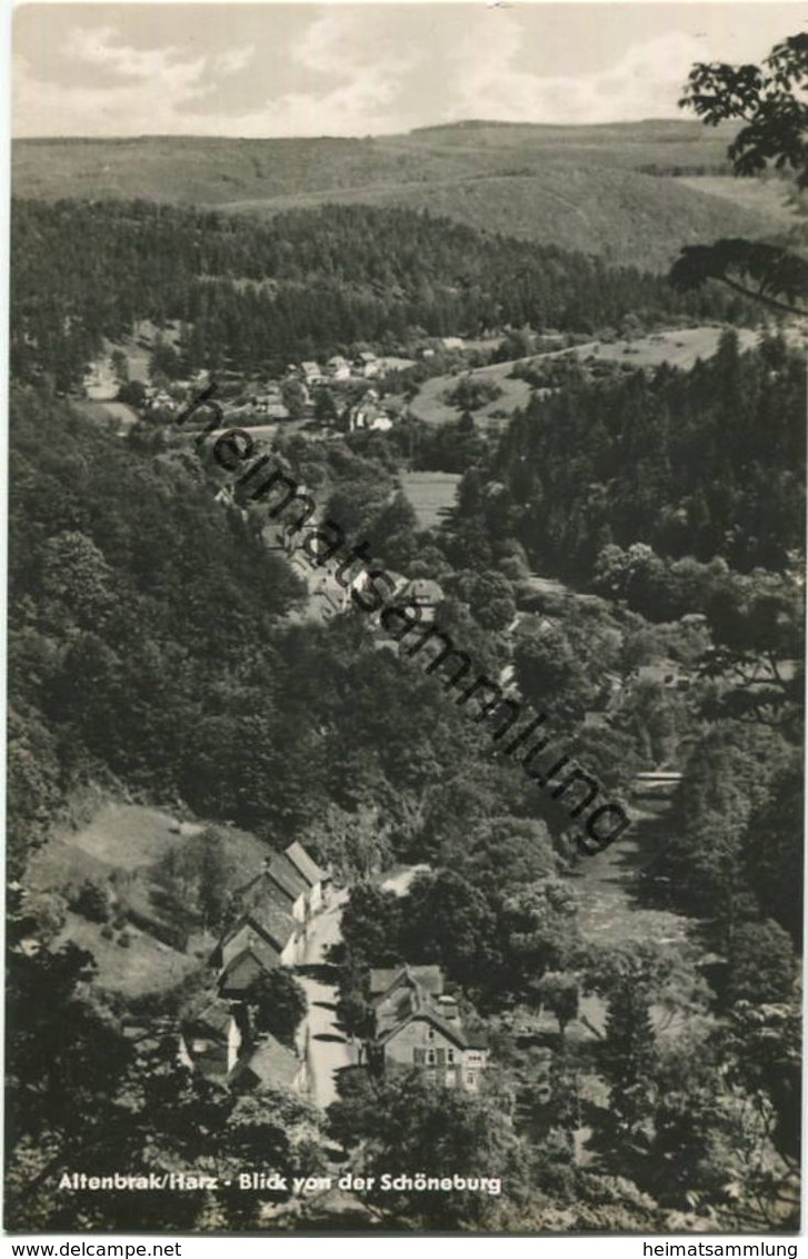 Altenbrak - Blick Von Der Schöneburg - Foto-AK 60er Jahre - Verlag Willi Koch Halberstadt - Altenbrak