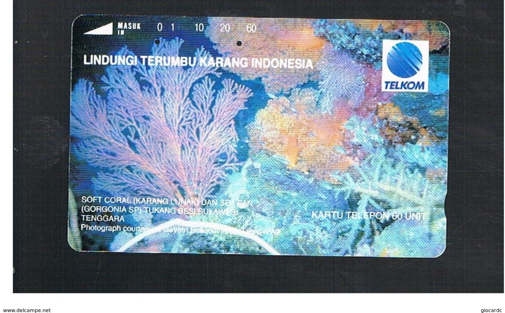 INDONESIA - TELKOM  -   SOFT CORAL                                     - USED - RIF.10367 - Indonesia