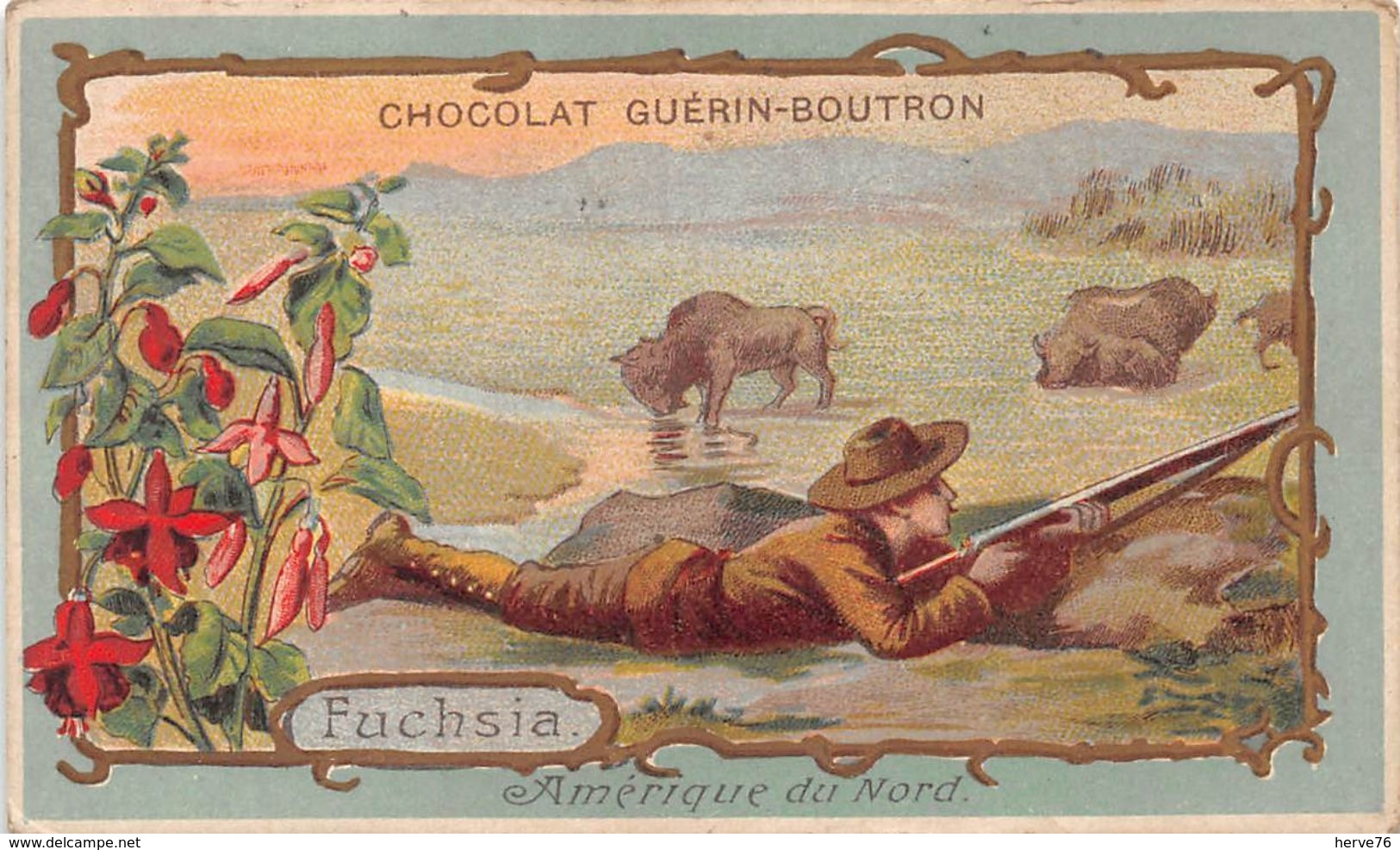 Chromo - CHOCOLAT GUERIN-BOUTRON - Fuschia - Amérique Du Nord - Guérin-Boutron