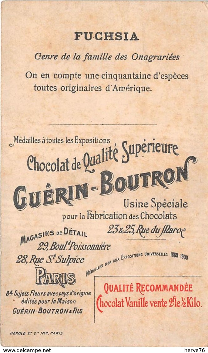 Chromo - CHOCOLAT GUERIN-BOUTRON - Fuschia - Amérique Du Nord - Guérin-Boutron