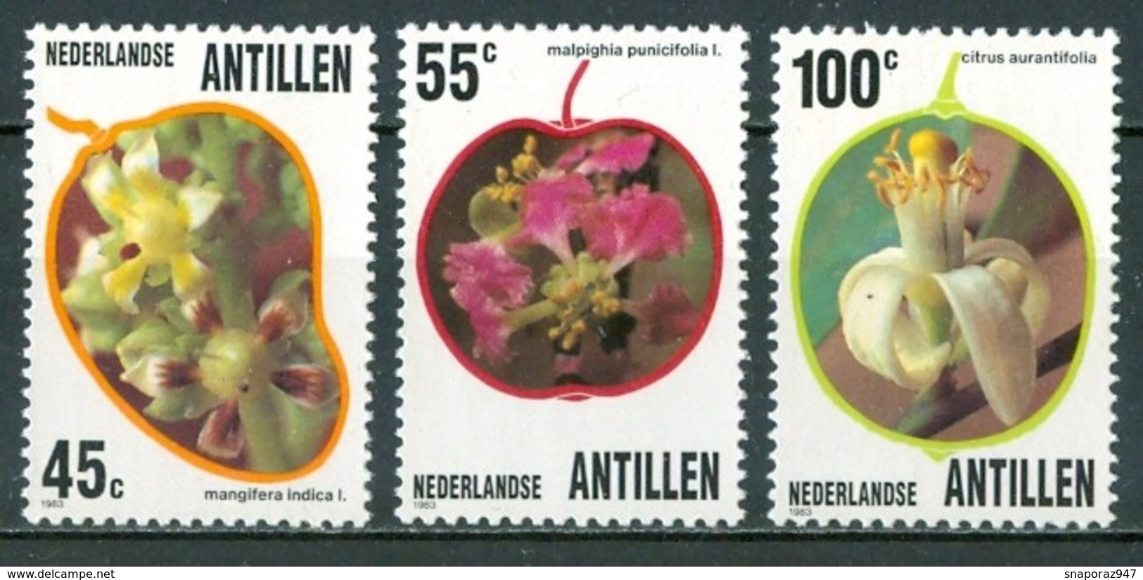 1983 Antille Flowers Blumen Fleurs  MNH** Fio113 - Curaçao, Antille Olandesi, Aruba