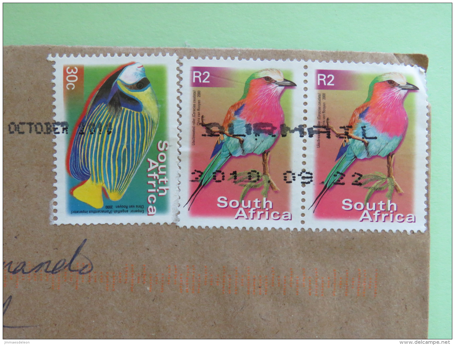 South Africa 2010 Cover To England - Fish - Birds - Storia Postale