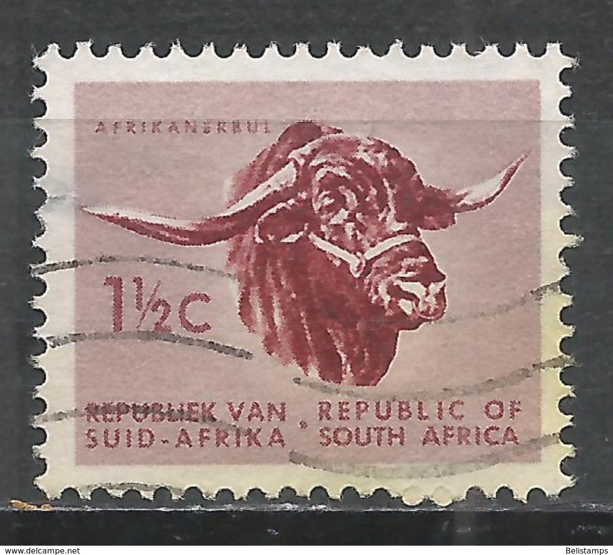 South Africa 1961. Scott #256 (U) Fauna, Afrikander Bull - Oblitérés