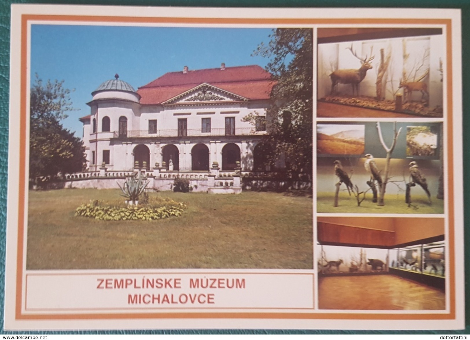 ZEMPLINSKE MUZEUM MICHALOVCE SLOVAKIA Slovensko Animals - Slovaquie