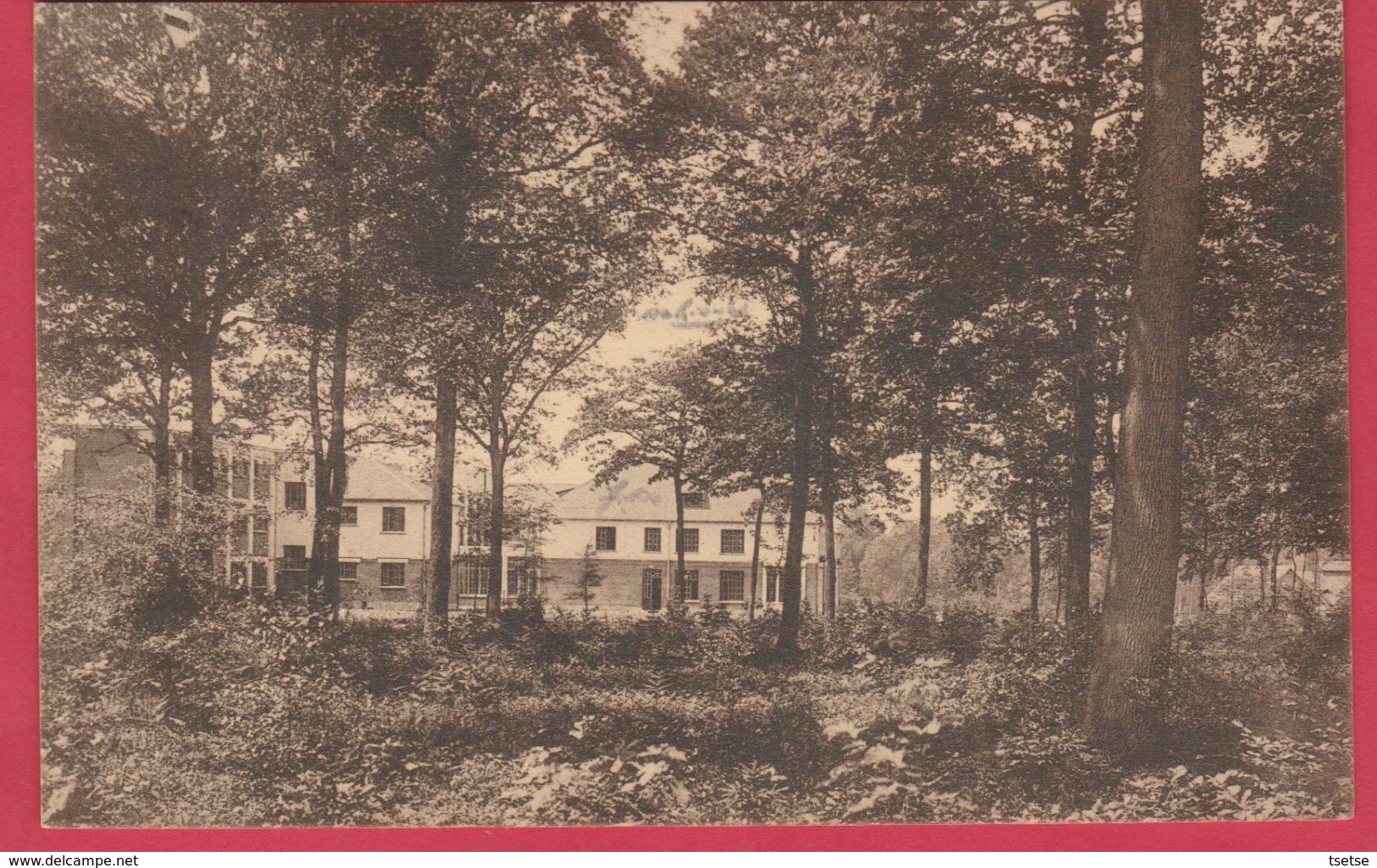 Nalinnes ( Haies ) - Le Sanatorium - 1931 ( Voir Verso ) - Ham-sur-Heure-Nalinnes