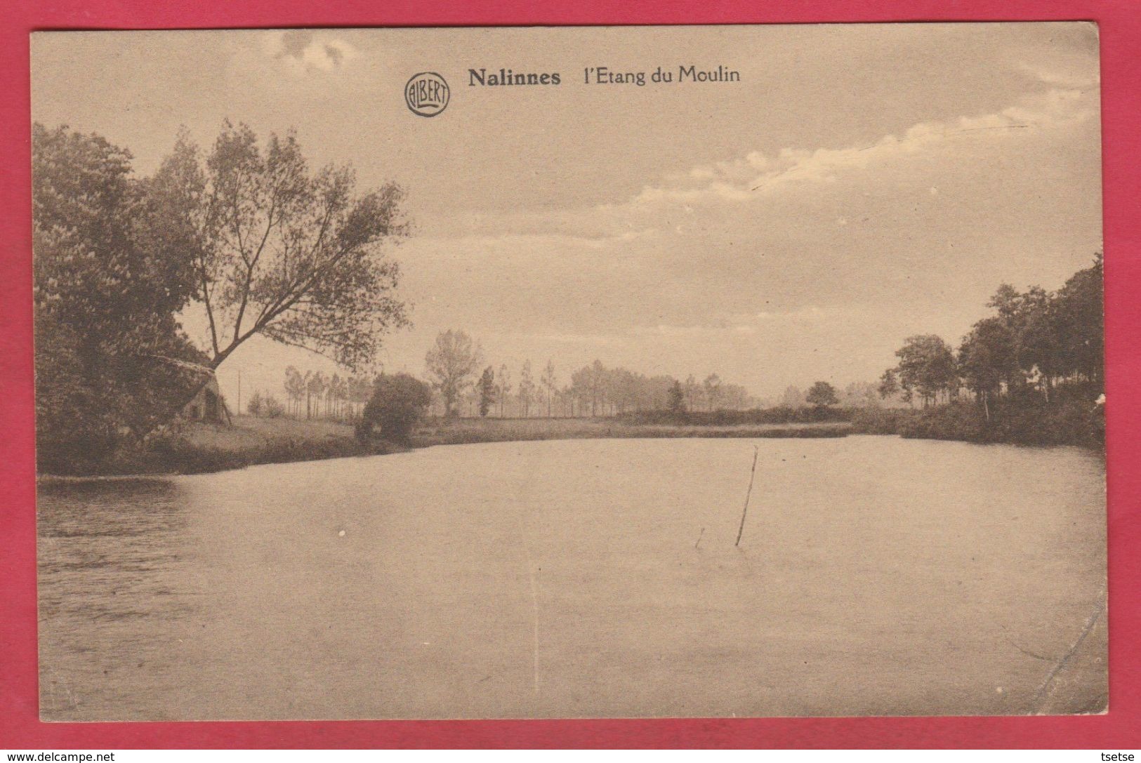 Nalinnes- L'Etang Du Moulin - 1932 ( Voir Verso ) - Ham-sur-Heure-Nalinnes