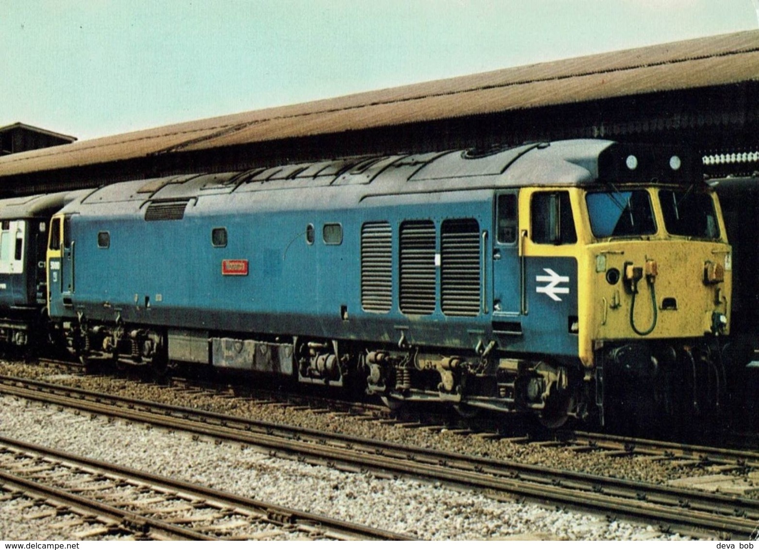 Railway Postcard BR Class 50 50010 Monarch Diesel Loco - Trains