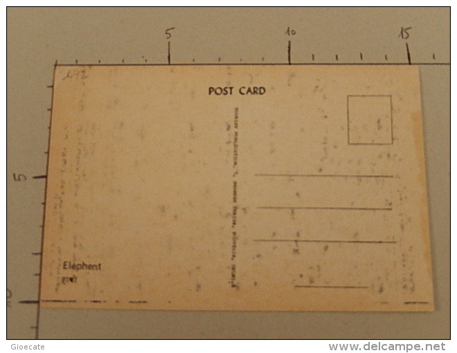 Elephent - India - Non Viaggiata  - (3492) - India