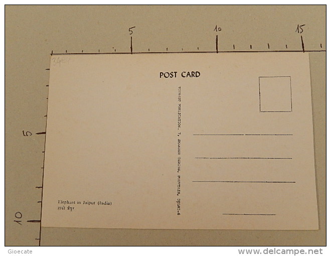 Elephant In Jaipur (India) - Non Viaggiata - (3484) - India