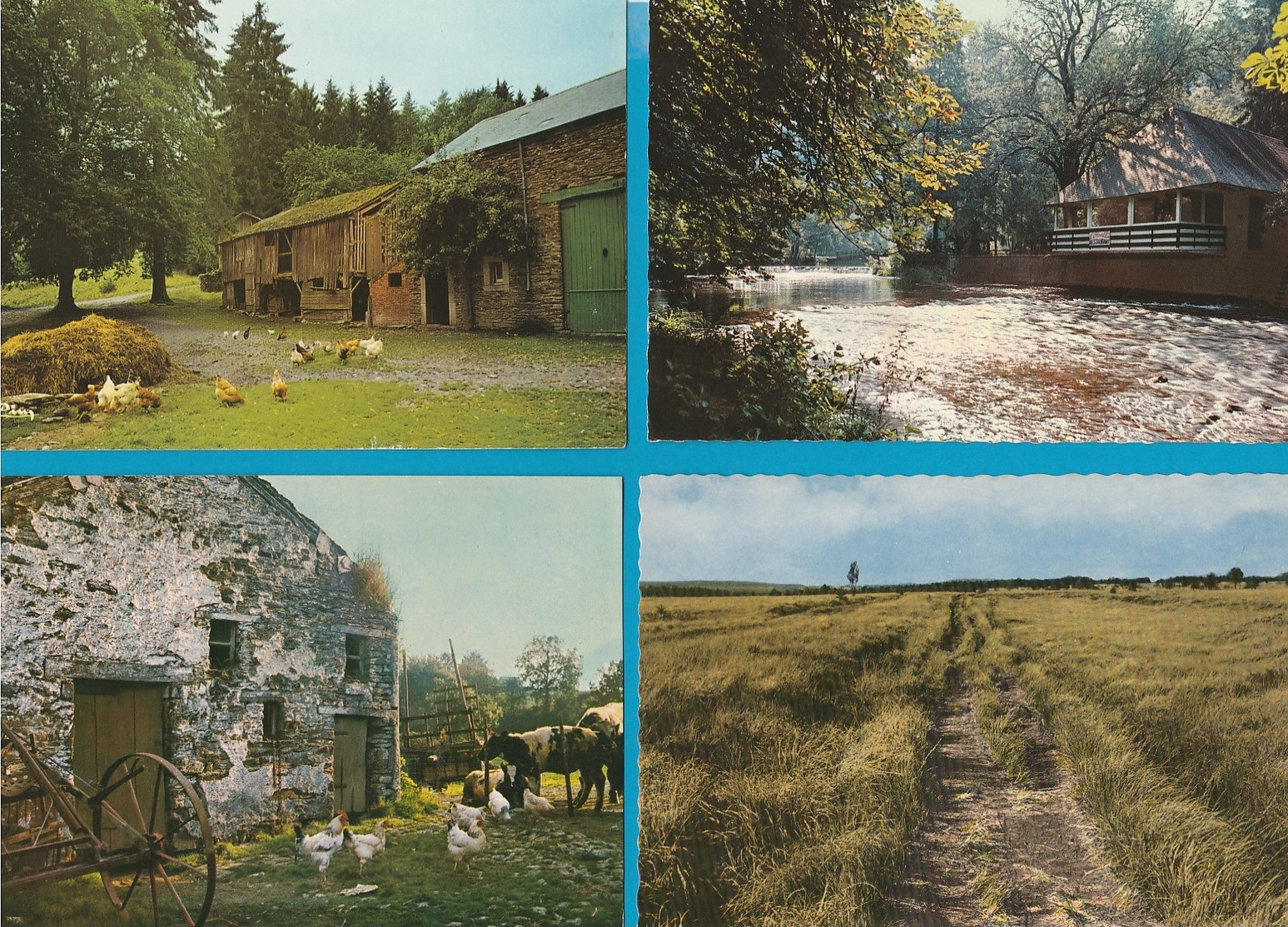 BELGIË De Ardennen, Lot Van 60 Postkaarten, Cartes Postales - 5 - 99 Cartes