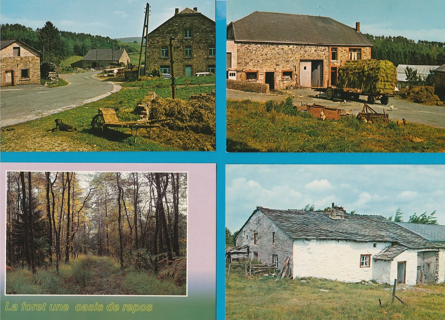 BELGIË De Ardennen, Lot Van 60 Postkaarten, Cartes Postales - 5 - 99 Cartes