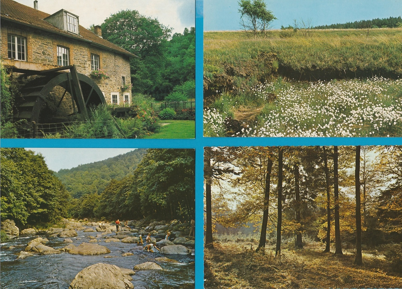 BELGIË De Ardennen, Lot van 60 postkaarten, Cartes Postales