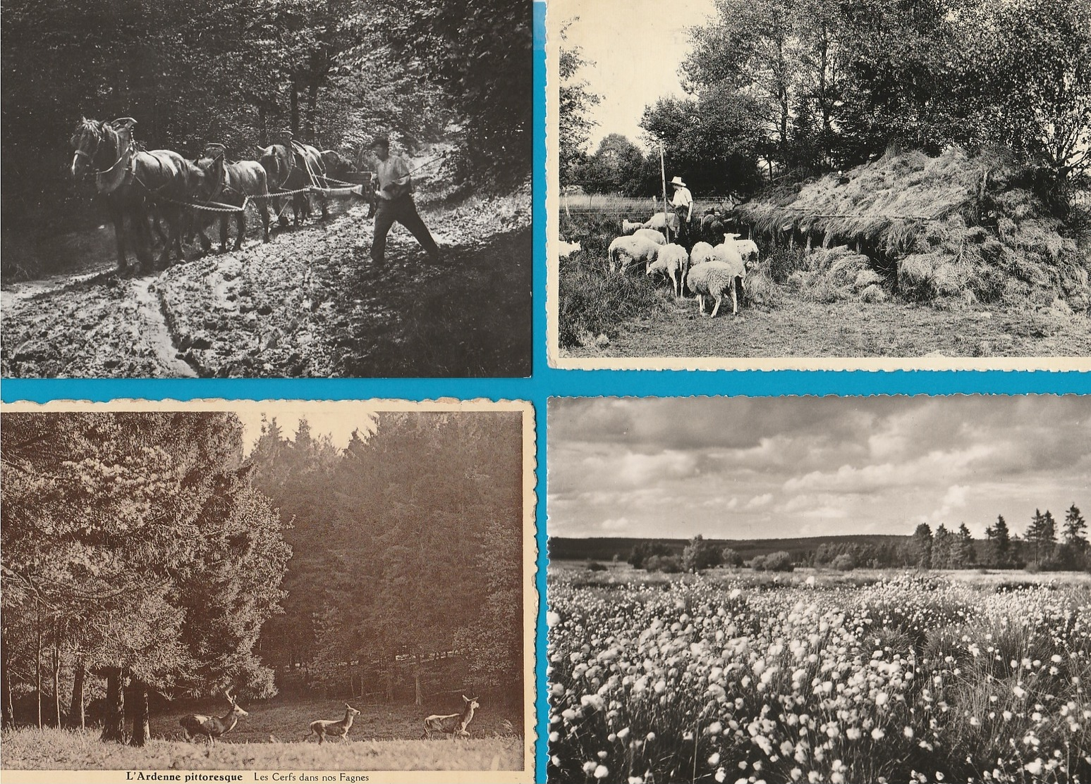 BELGIË De Ardennen, Lot van 60 postkaarten, Cartes Postales