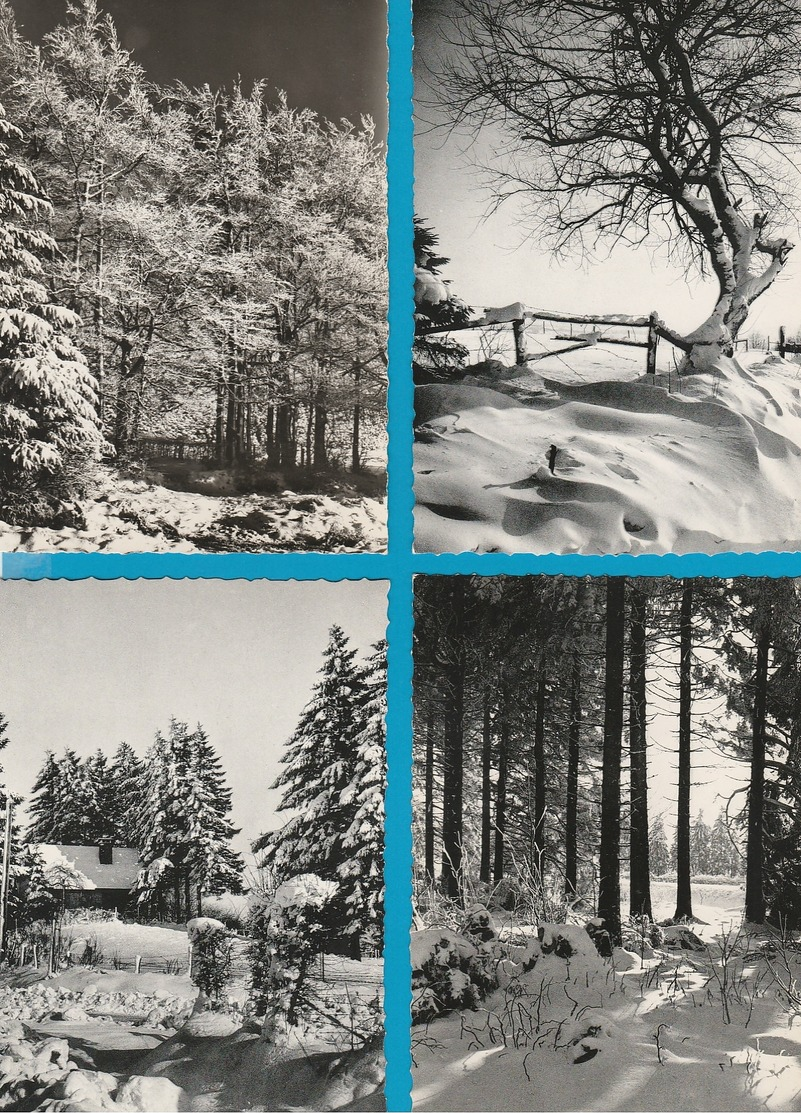 BELGIË De Ardennen, Lot van 60 postkaarten, Cartes Postales