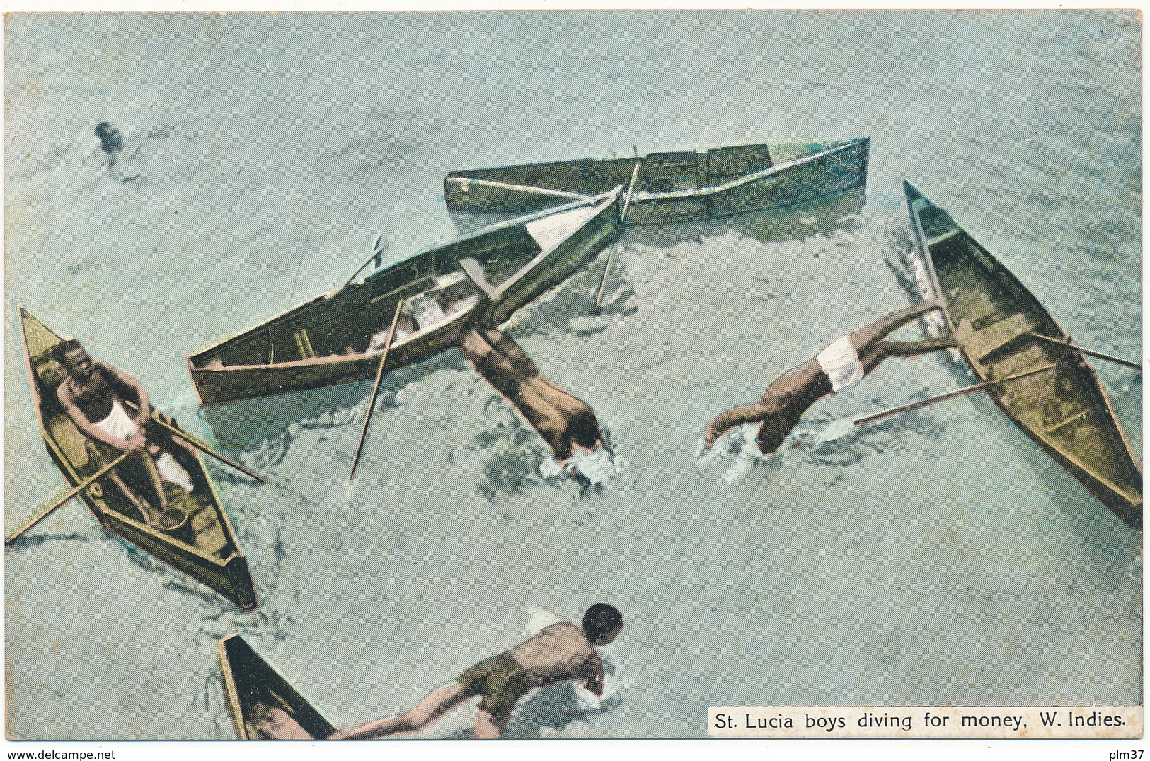 SAINTE LUCIE - Boys Diving For Money - Saint Lucia