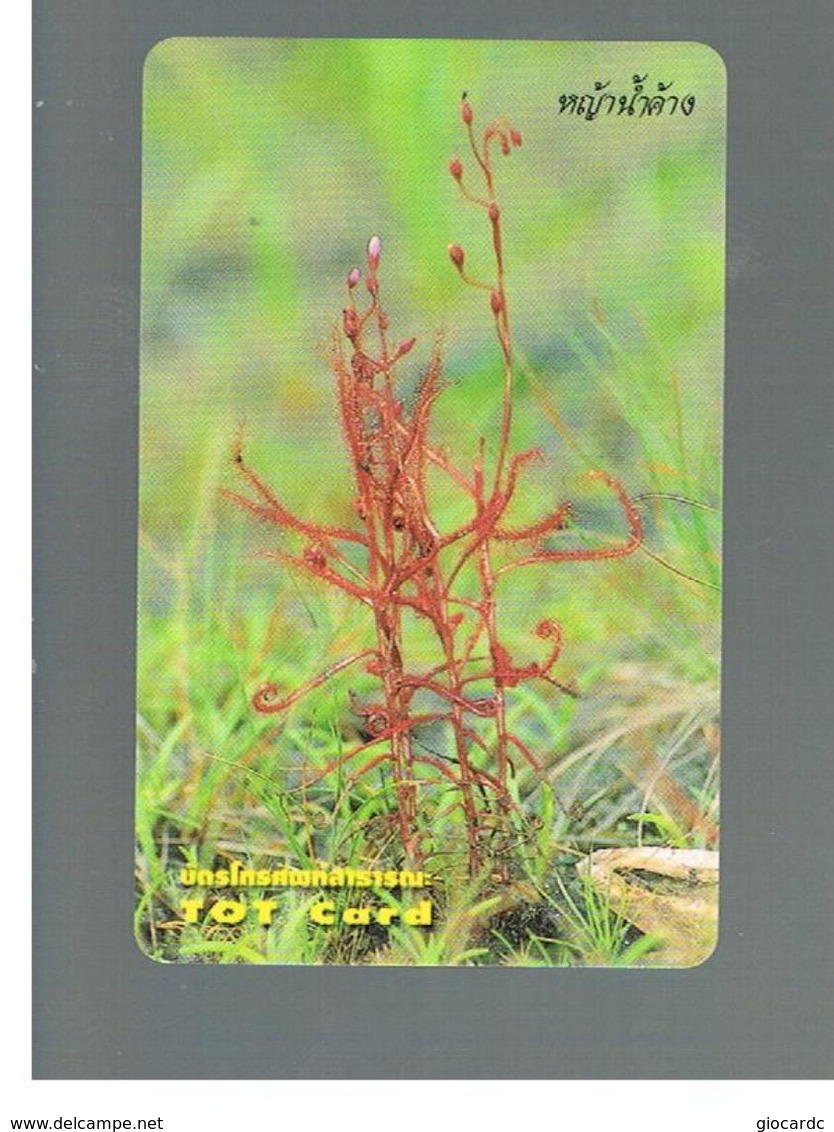TAILANDIA (THAILAND) -  2001   PLANTS: DROSERACEAE  - USED  -  RIF. 10386 - Fleurs