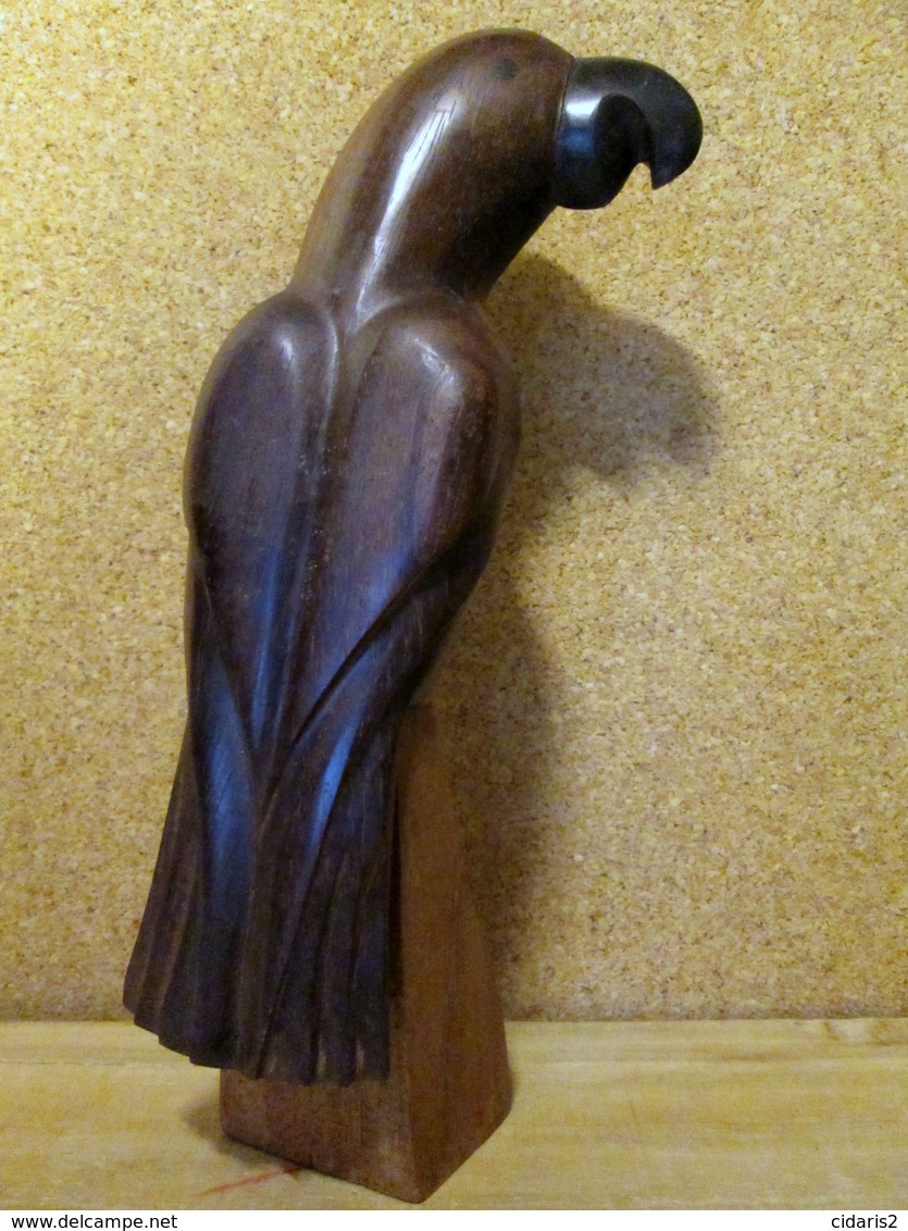 PERROQUET Sculpture Skulptur Oiseau Bird Parrot Vogel Papagei Bois Exotique (acajou ?) Déco Decoration ! - Wood