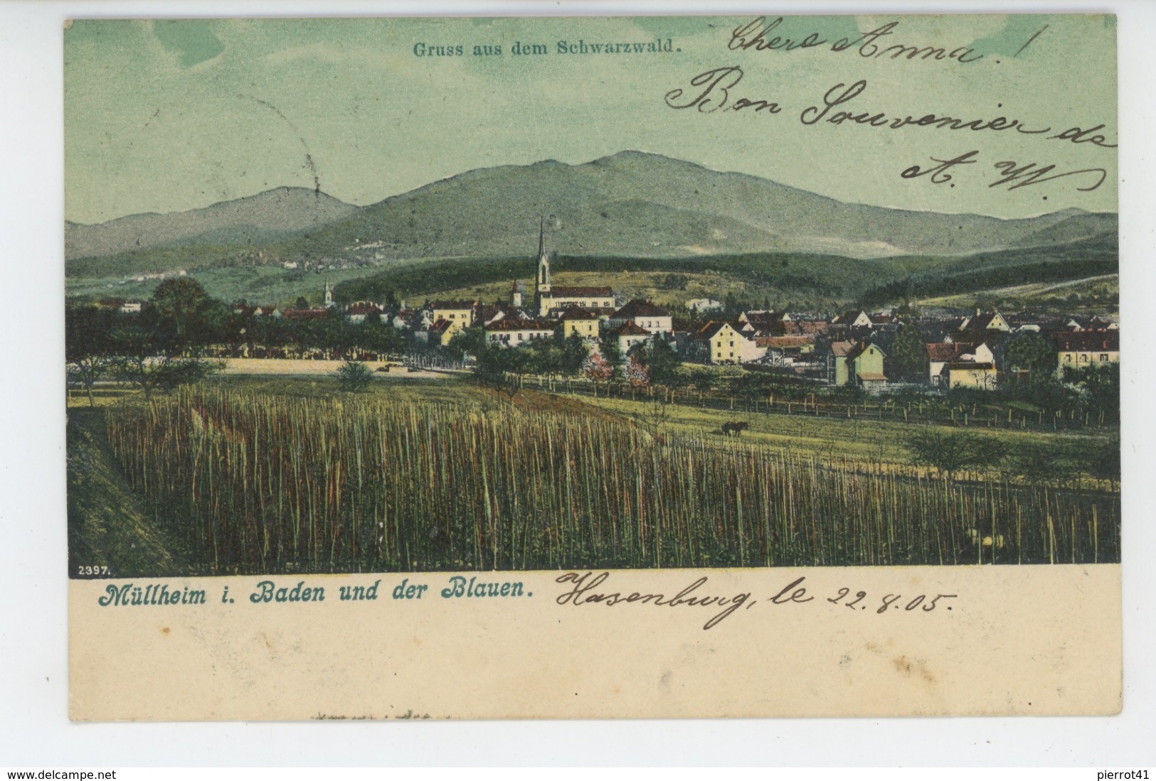 ALLEMAGNE - MÜLHEIM I. Baden Und Der Blauen - Muehlheim