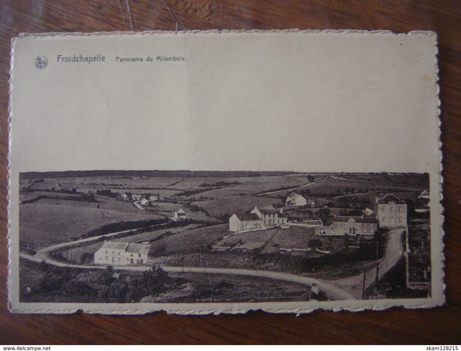 FROIDCHAPELLE - Panorama Du Milombois - Très Joli Panorama --- 1960 - Froidchapelle