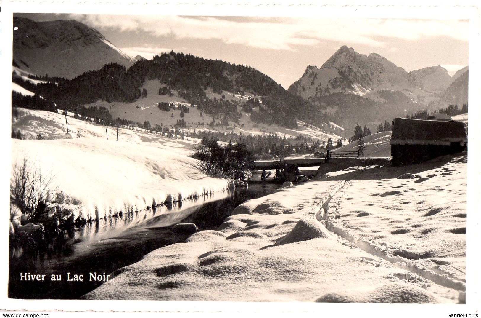 Hiver Au Lac Noir - Schwazsee - Fribourg - Fribourg