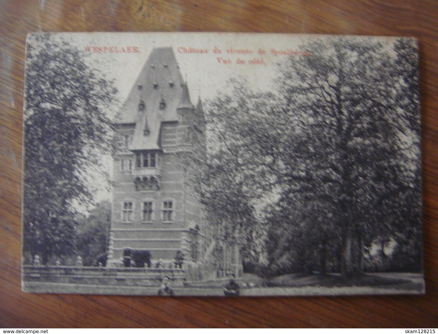 WESPELAER - Wespelaer ( Haacht ) - Château Du Vicomte De Spoelbergh - Vue De Côté ( Vue Peu Courante ) - Haacht