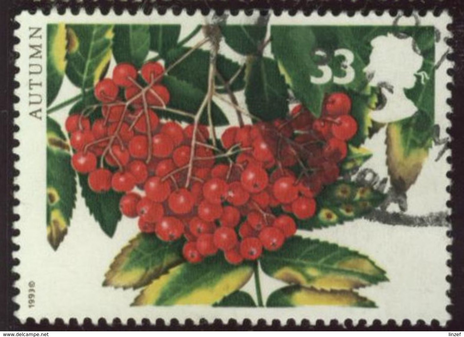 GB 1993 Yv. N°1695 - Fruits D'automne - Sorbes - Oblitéré - Gebruikt