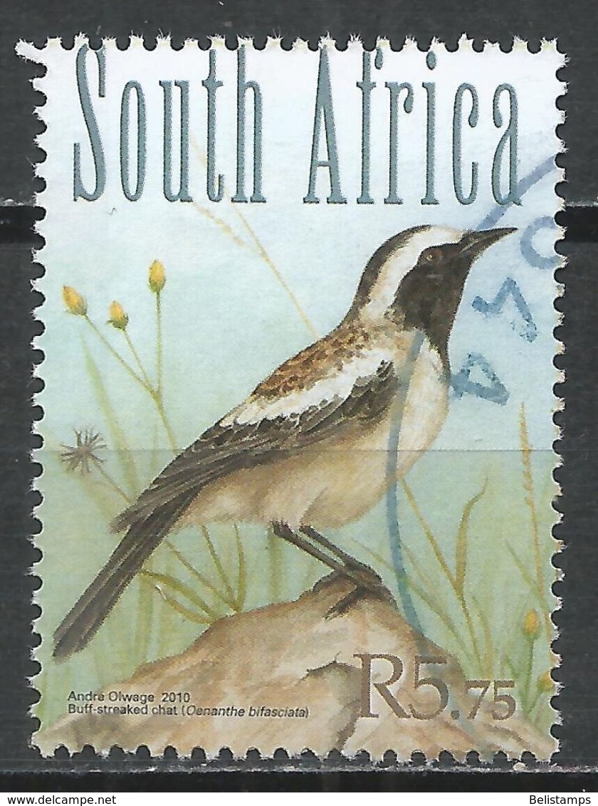 South Africa 2010. Scott #1415b (U) Bird, Buff-streaked Chat - Oblitérés