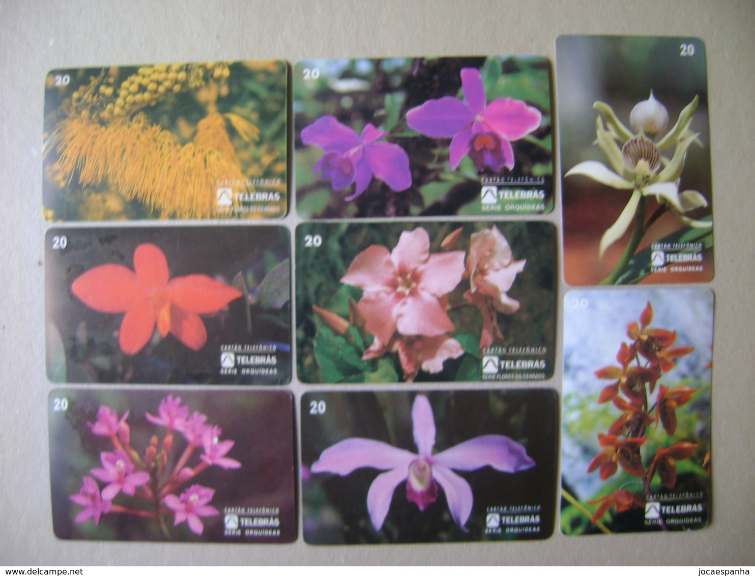8 TELEPHONE CARDS OF FLOWERS (BRAZIL) - Fleurs