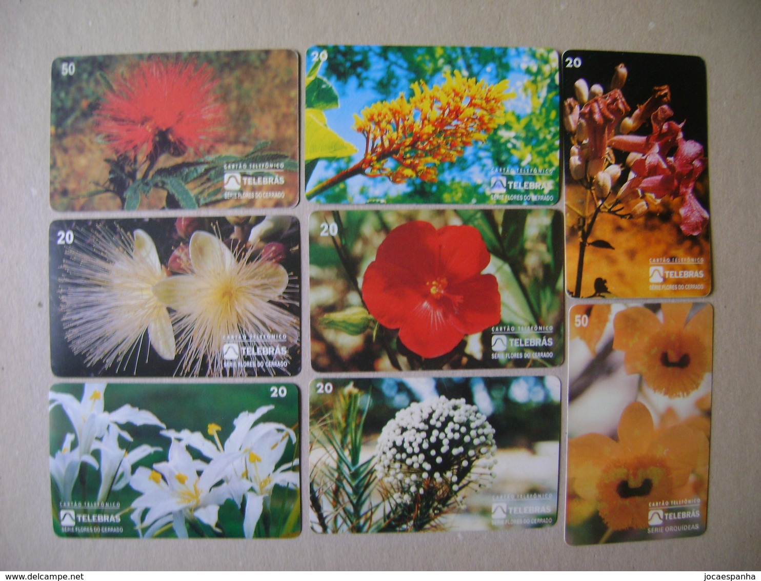 8 TELEPHONE CARDS OF FLOWERS (BRAZIL) - Fleurs