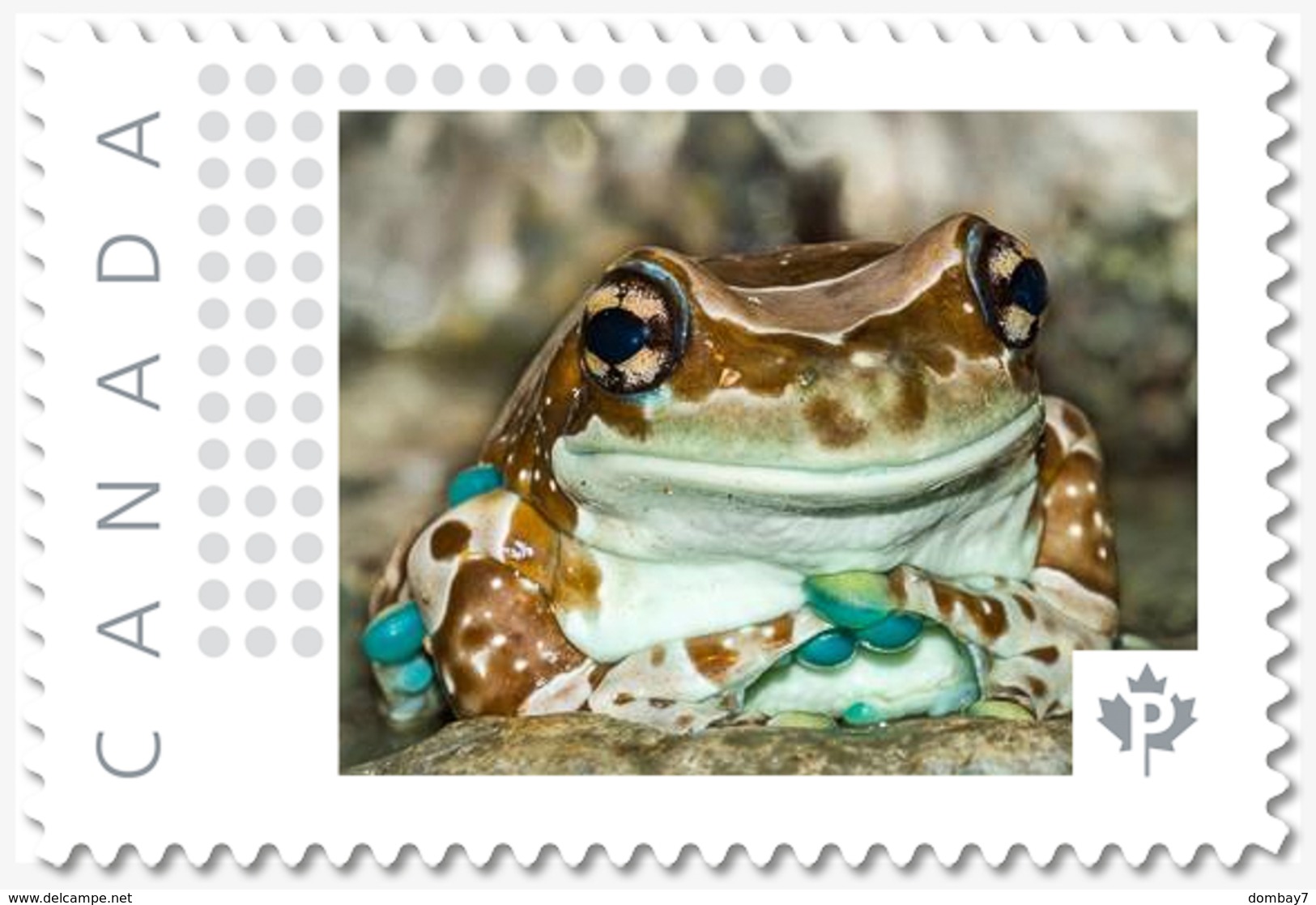 AMAZON MILK FROG, Custom Postage Stamp MNH Canada 2018 [p18-04sn19] - Frogs