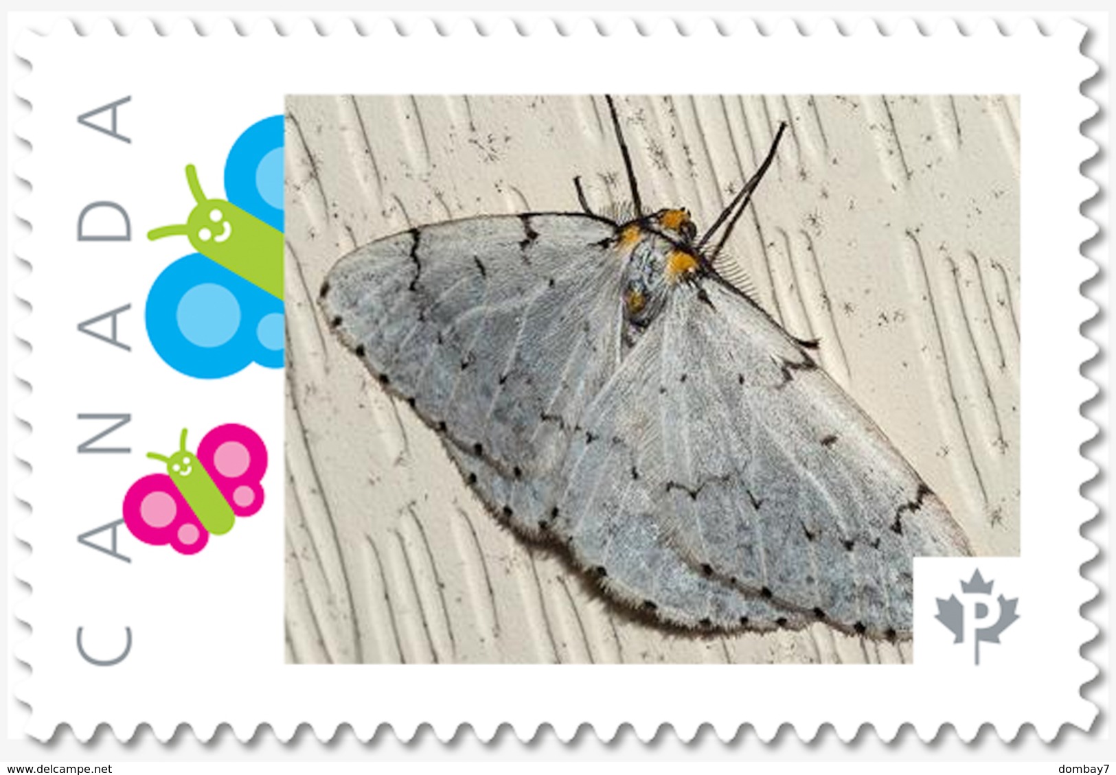 White MOTH, BUTTERFLY Custom Postage Stamp MNH Canada 2018 [p18-04sn11] - Vlinders