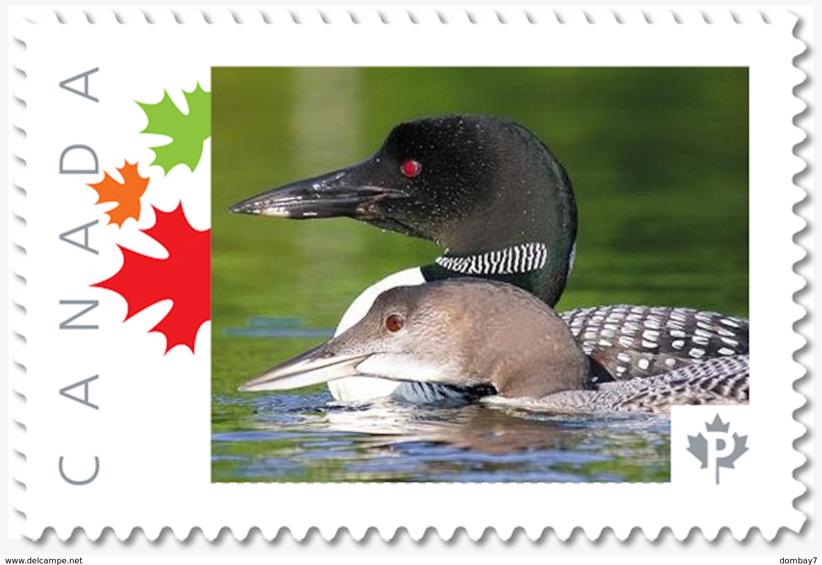 LOON, DUCK Custom Postage Stamp MNH Canada 2018 [p18-04sn13] - Ducks