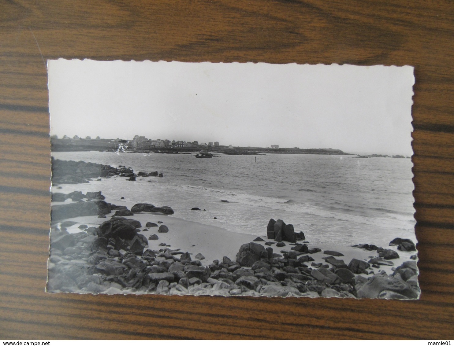 Kerbrat En Plougoulm      ( Finistère )    Vue Sur Moguériec - Autres & Non Classés