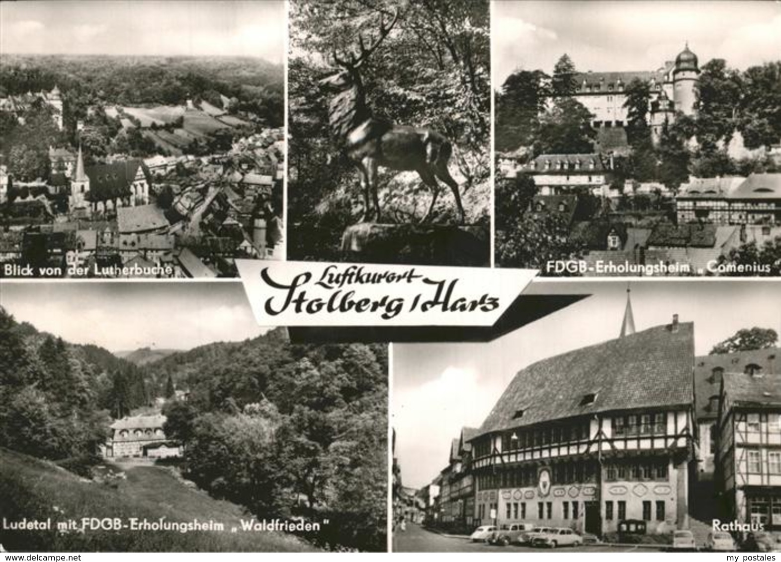 41261719 Stolberg Harz FDGB Erholungsheim Comenius Rathaus Waldfrieden Lutherbuc - Stolberg (Harz)