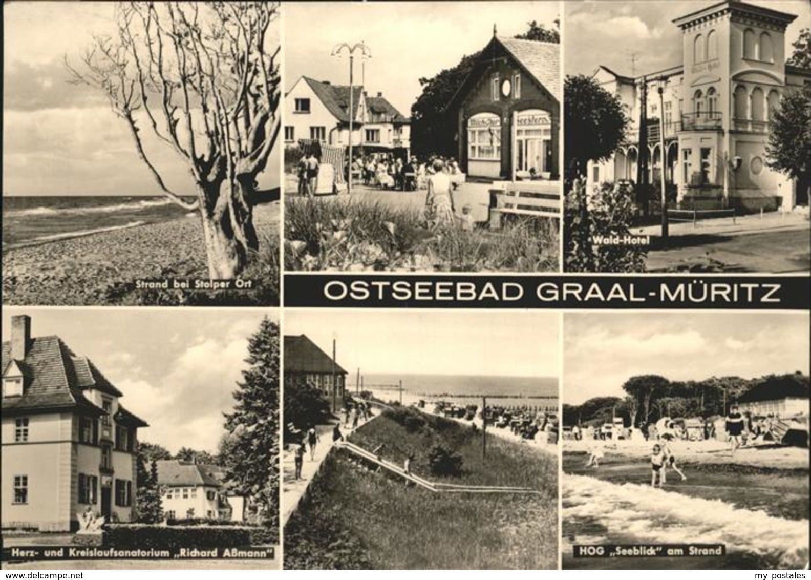 41269965 Graal-Mueritz Ostseebad Strand Bei Stolper Ort Wald Hotel Sanatorium Ri - Graal-Müritz