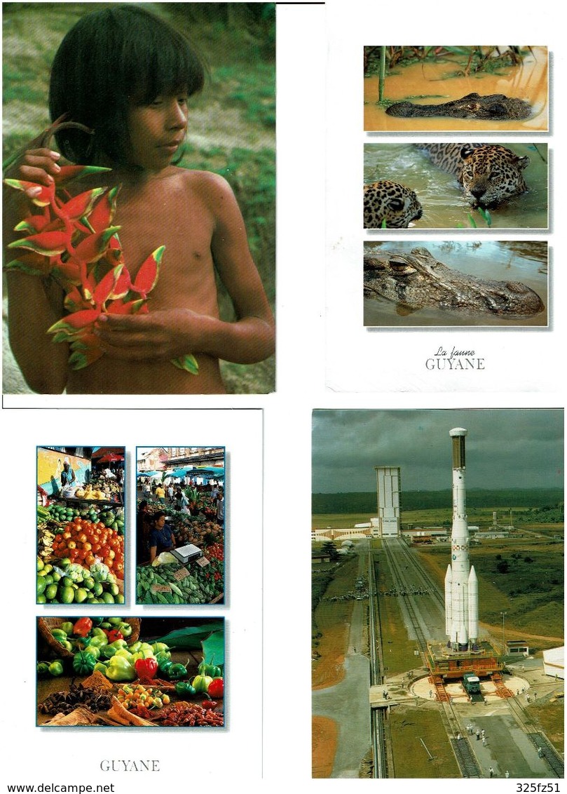 973 / GUYANE  /  Lot De 45 Cartes Postales Modernes écrites - 5 - 99 Cartes