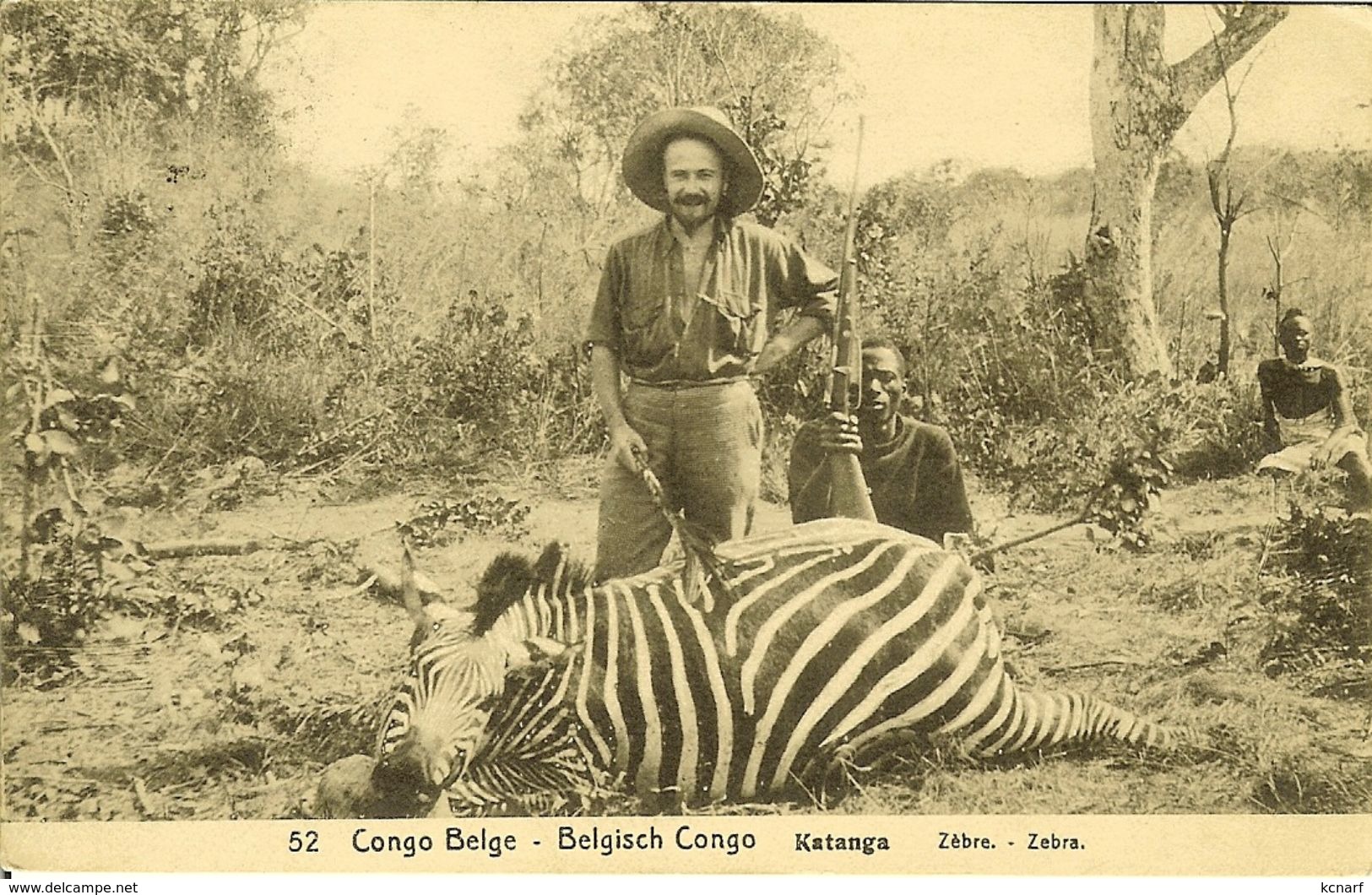 CP De CONGO BELGE - BELGISCHE CONGO : Katanga " Zèbre - Zebra " Surcharge De 15 Centimes   RR . - Entiers Postaux