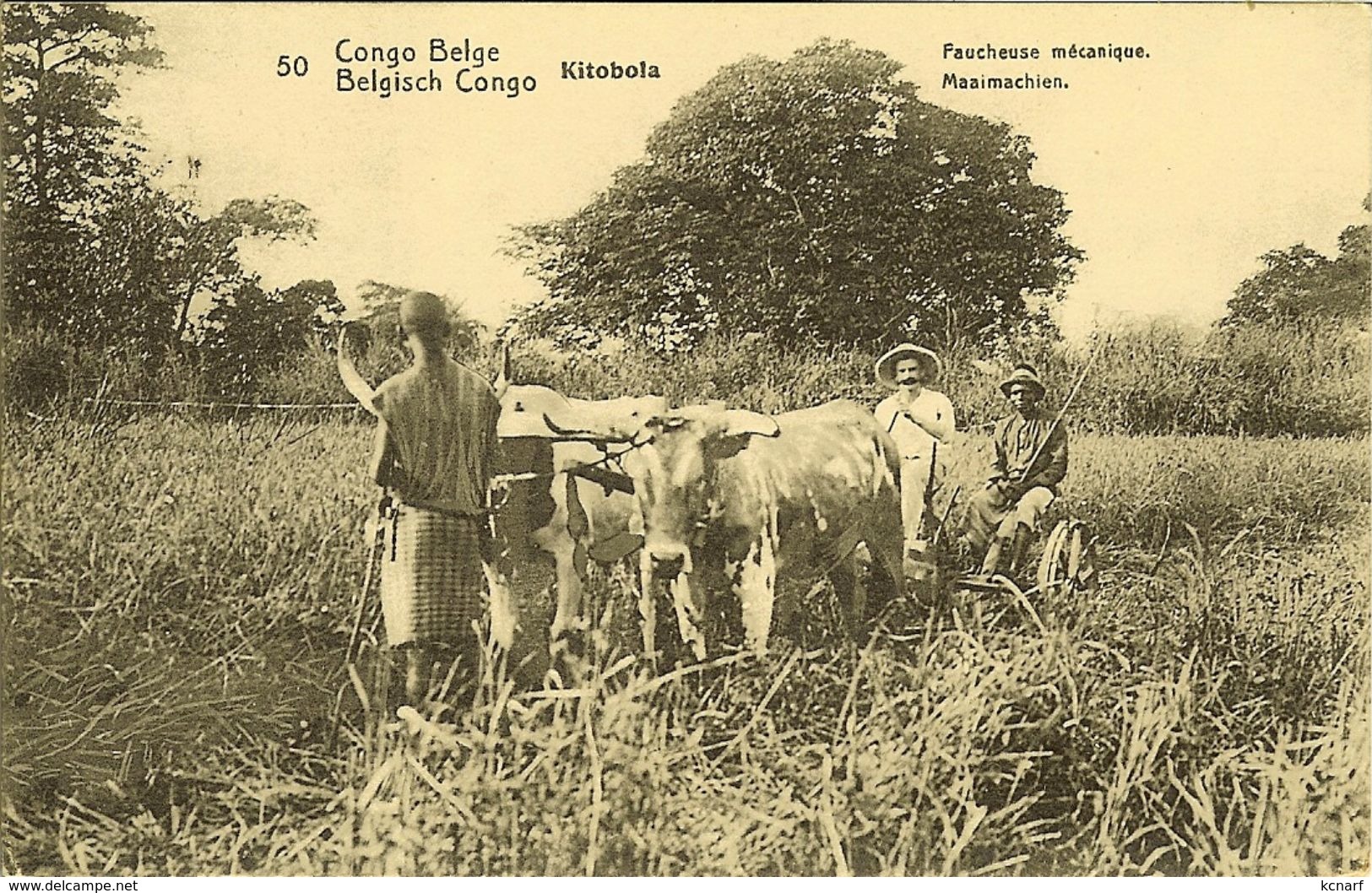 CP CONGO BELGE - BELGISCHE CONGO : KITOBOLA " Faucheuse Mécanique  " Surcharge De 15 Centimes - Dumont Arthur Géomètre - Interi Postali