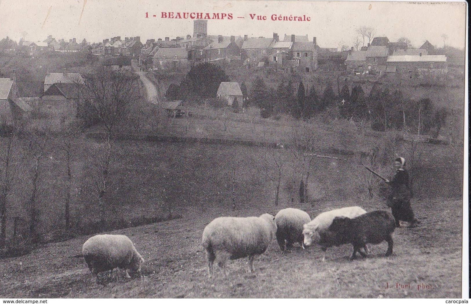 Carte 1910 BEAUCHAMPS / VUE GENERALE (moutons) - Sonstige & Ohne Zuordnung