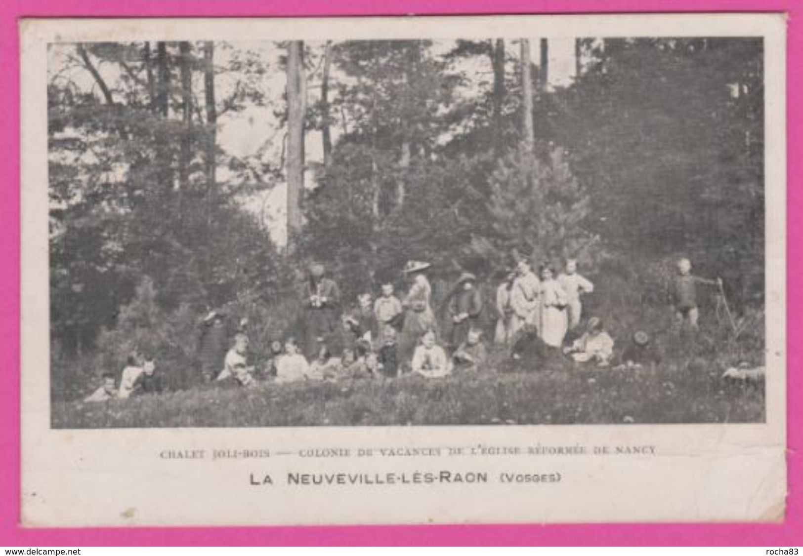 88 VOSGES - LA NEUVILLE-LES-RAON , Chalet Bois Jolii - Autres & Non Classés