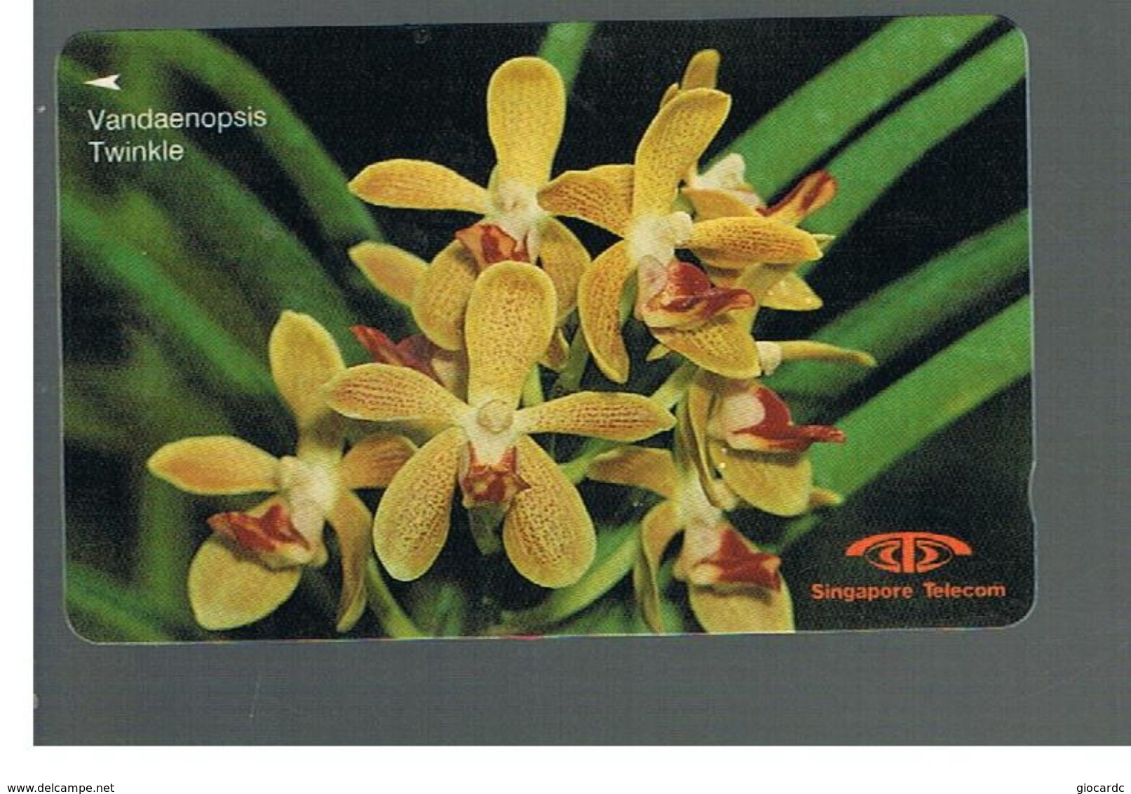 SINGAPORE -  1992 FLOWERS: ORCHID, VANDAENOPSIS TWINKLE     - USED -   RIF. 10410 - Fleurs