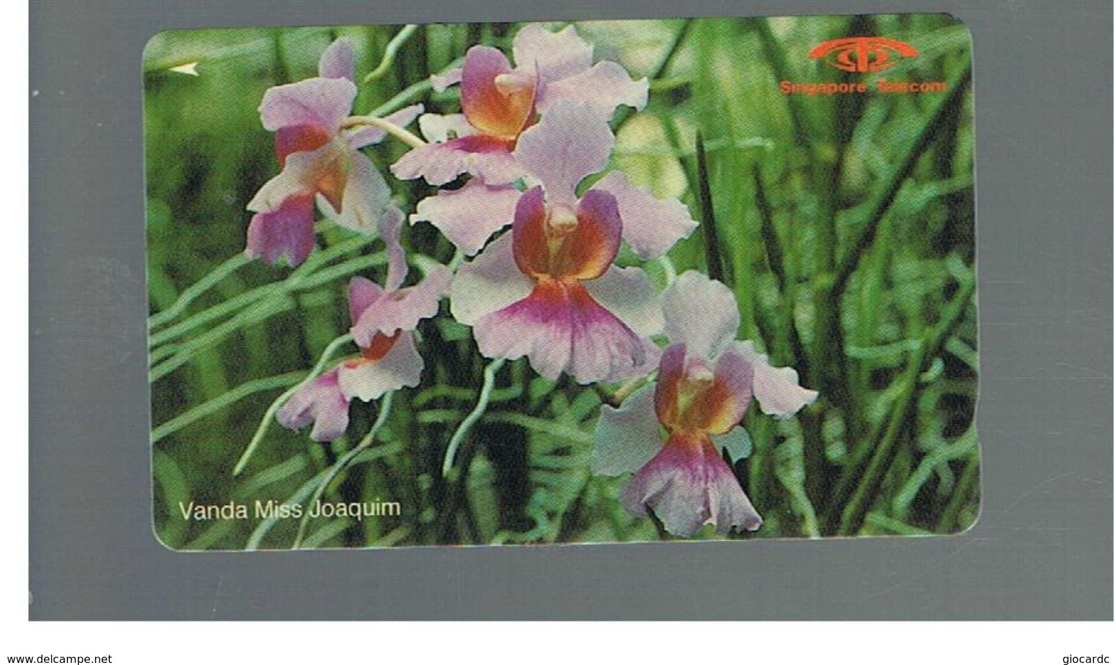 SINGAPORE -  1992 FLOWERS: ORCHID, VANDA MISS JOAQUIM    - USED -   RIF. 10410 - Fleurs