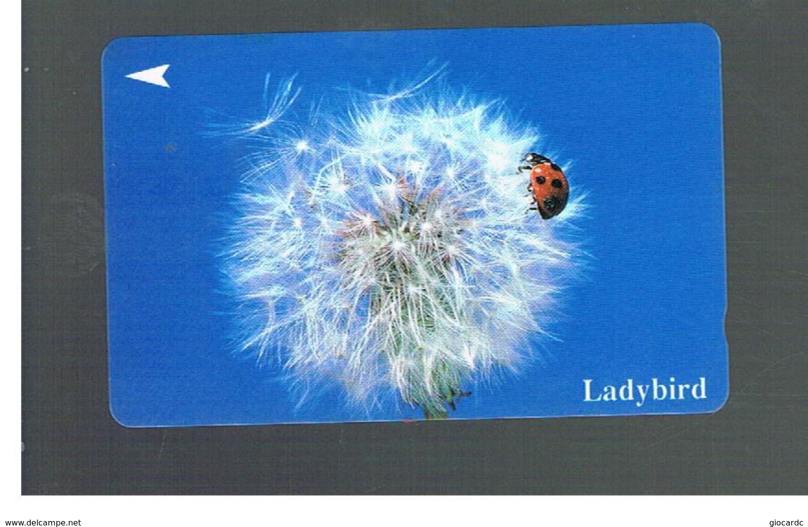 SINGAPORE -  1994   LADYBIRD - USED -   RIF. 10413 - Mariquitas