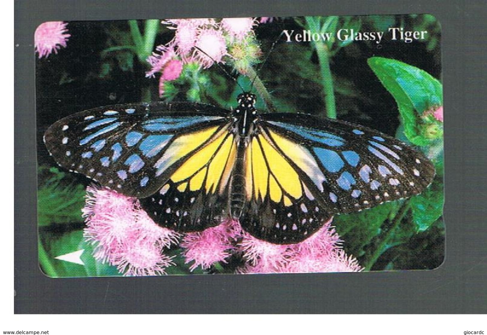 SINGAPORE -  1994   BUTTERFLIES: YELLOW GLASSY TIGER - USED -   RIF. 10413 - Farfalle